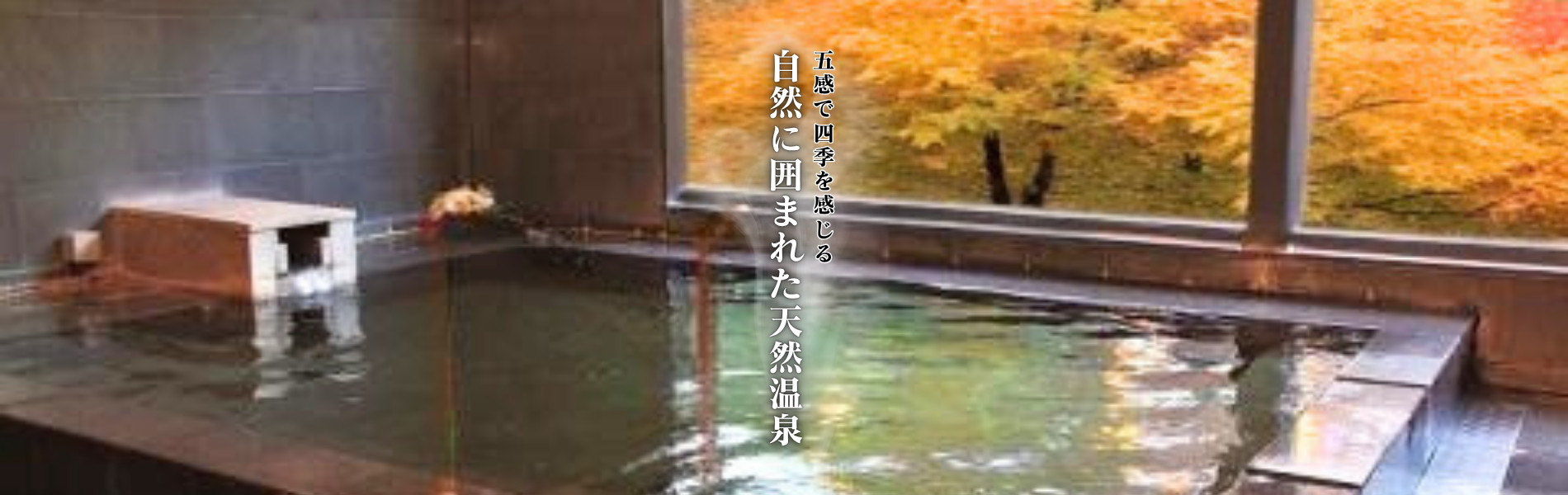 五感で四季を感じる。自然に囲まれた天然温泉